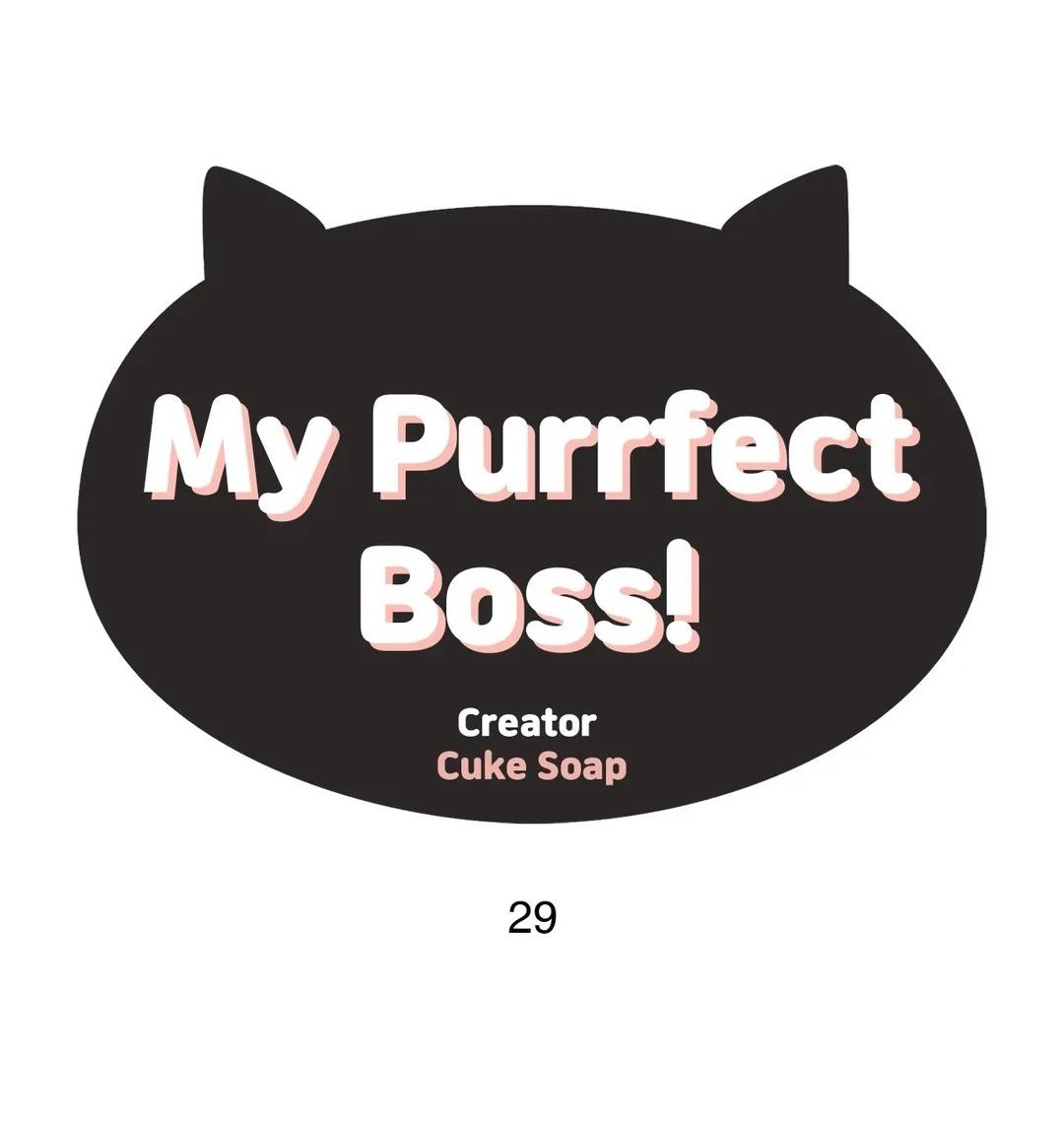 My Purrfect Boss: Chapter 29 - Page 2