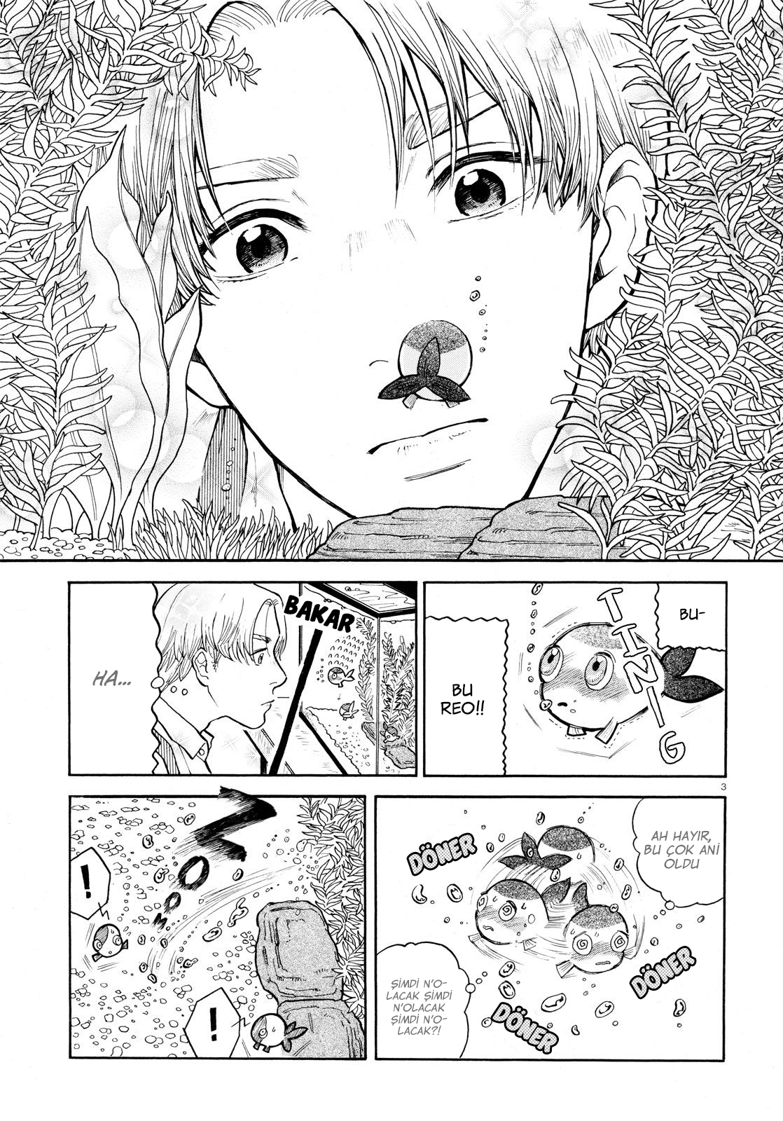The Goldfish Osushi: Chapter 01 - Page 4